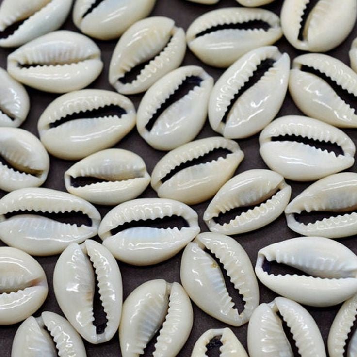 Cowrie Shells: A Window Into the Soul of African Arts - Paulski Art 