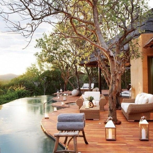 How to Craft an African Safari Pool Paradise - Paulski Art 