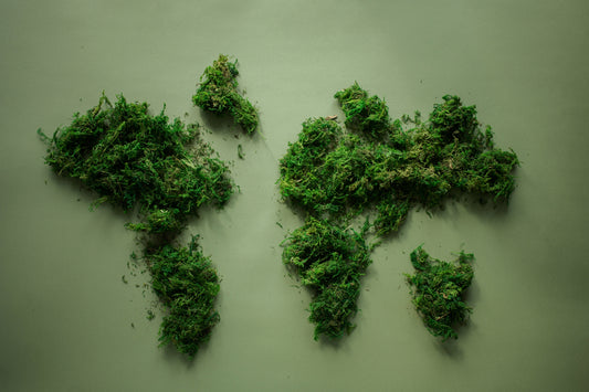 Our Top 3 Natural Alternative Picks for a Healthier Life - Paulski Art 