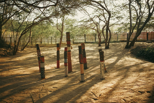 Wooden poles in a sunny, wooded area.