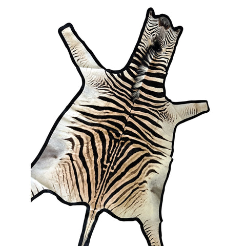 Felted A Grade Zebra Hide Rug #1