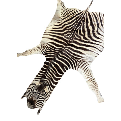 Non Felted A Grade Zebra Hide Rug #2