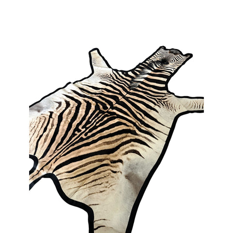 Felted A Grade Zebra Hide Rug #1
