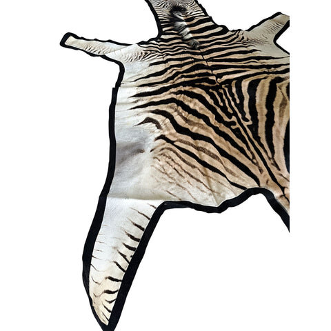 Felted A Grade Zebra Hide Rug #1