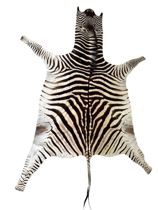 zebra hide rug Paulski art - Zebra Skin Rug