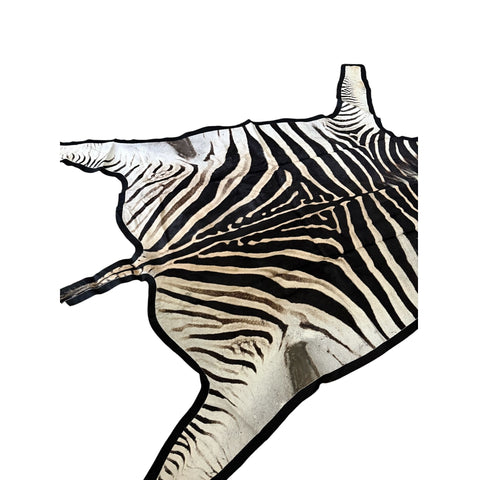 Felted A Grade Zebra Hide Rug #2