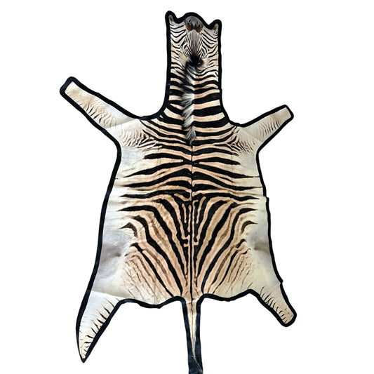 Felted A Grade Zebra Hide Rug #1