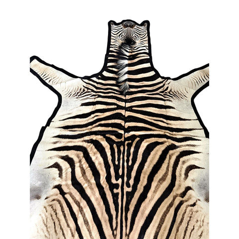 Felted A Grade Zebra Hide Rug #1