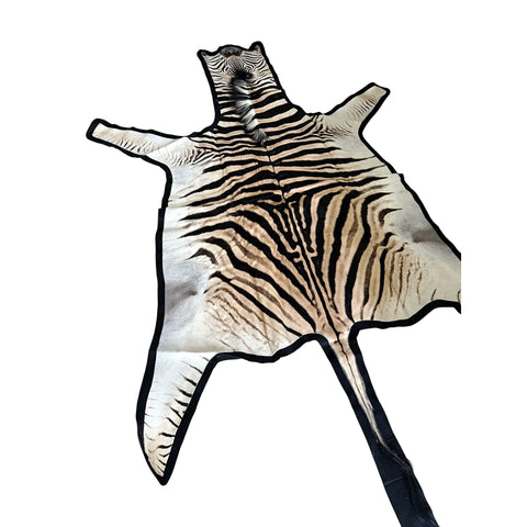 Felted A Grade Zebra Hide Rug #1