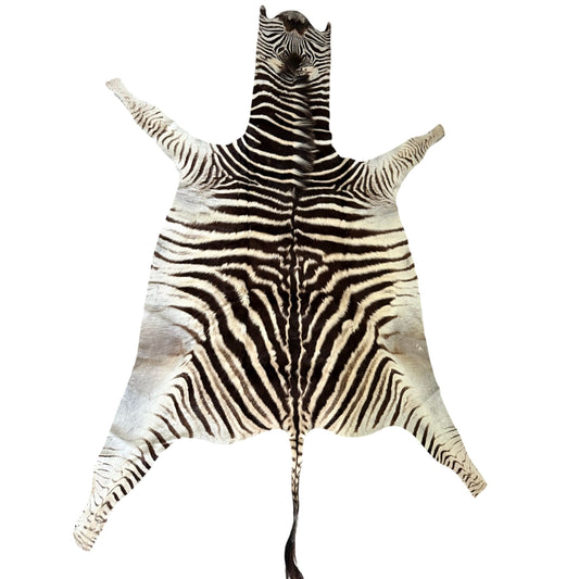 Non Felted A Grade Zebra Hide Rug #2