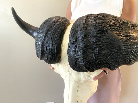 TROPHY 41” Wide GENUINE African Cape Buffalo Skull | African TAXIDERMY Skull