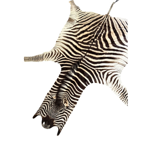 Non Felted A Grade Zebra Hide Rug #2