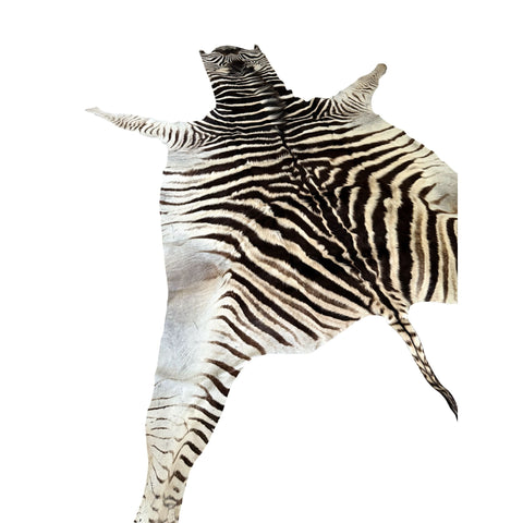 Non Felted A Grade Zebra Hide Rug #2