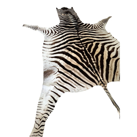 zebra hide rug Paulski art - Zebra Skin Rug