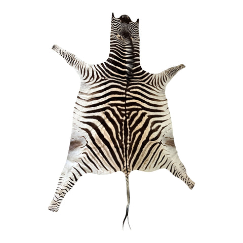 zebra hide rug Paulski art - Zebra Skin Rug