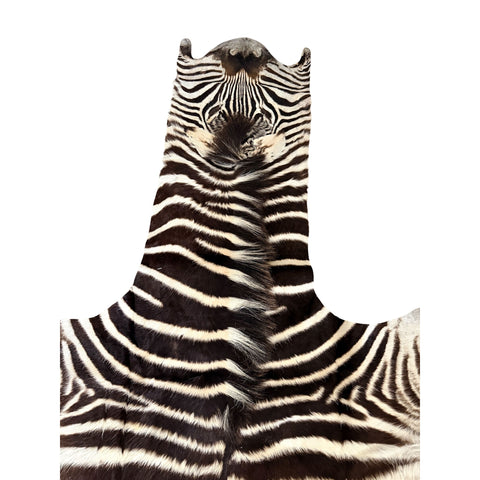 Non Felted A Grade Zebra Hide Rug #2