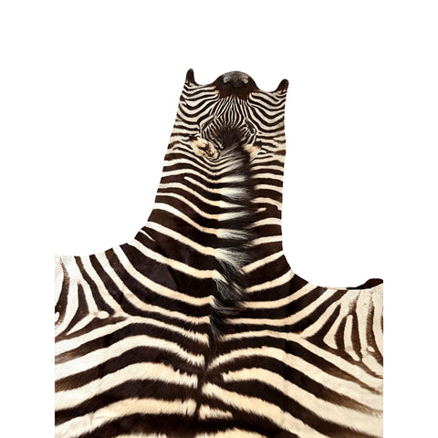 Non Felted A Grade Zebra Hide Rug #1