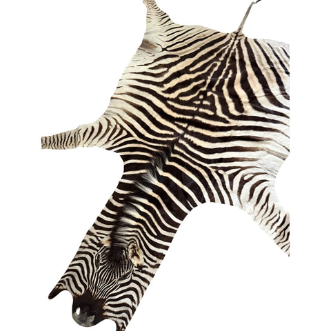 Non Felted A Grade Zebra Hide Rug #1