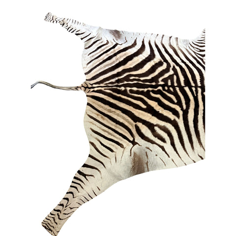 zebra hide rug Paulski art - Zebra Skin Rug