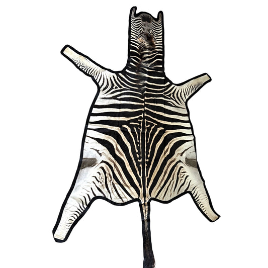 Felted A Grade Zebra Hide Rug #2