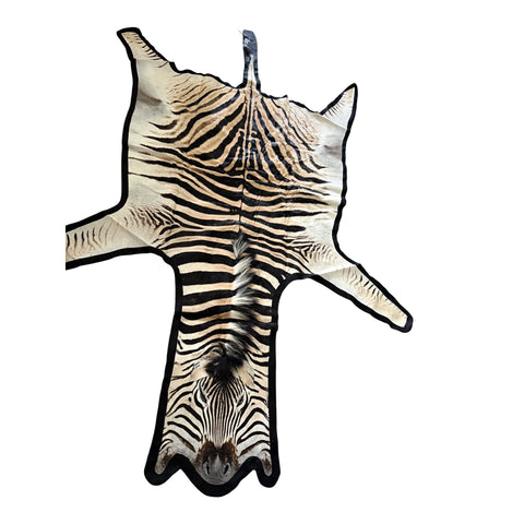 Felted A Grade Zebra Hide Rug #1