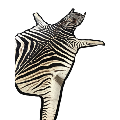 Felted A Grade Zebra Hide Rug #2