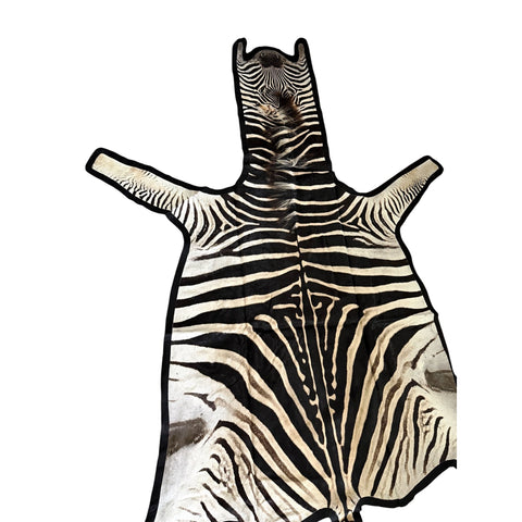Felted A Grade Zebra Hide Rug #2