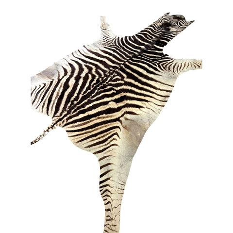 Non Felted A Grade Zebra Hide Rug #2