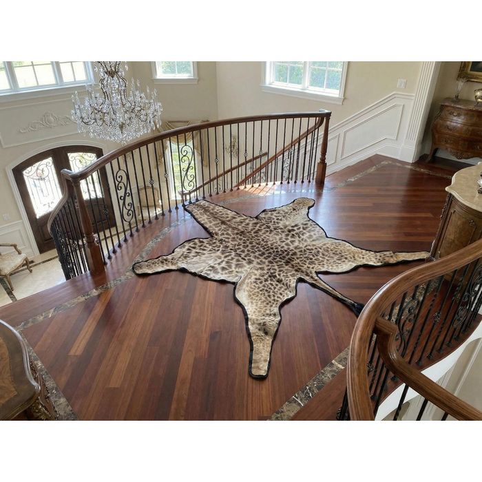 African Giraffe Skin Rug