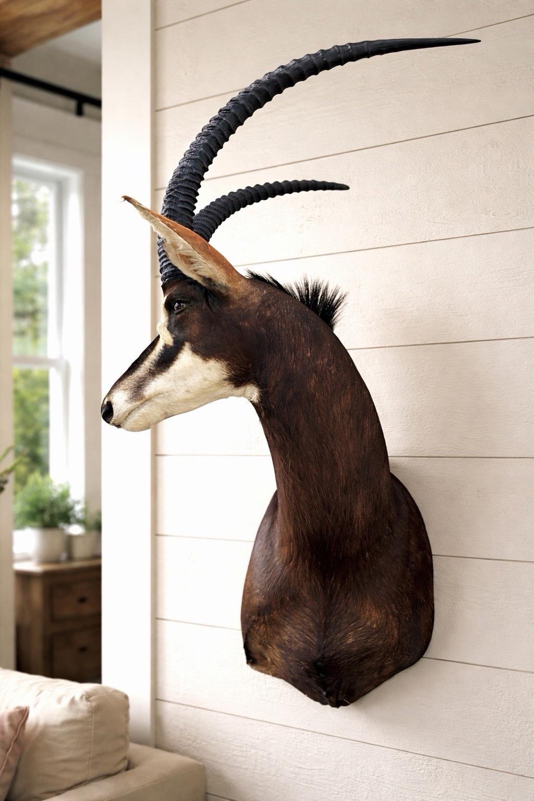 African Sable Antelope Mount