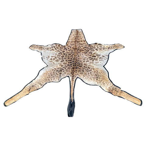 Like New! African Giraffe Hide Rug