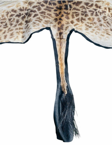 Like New! African Giraffe Hide Rug