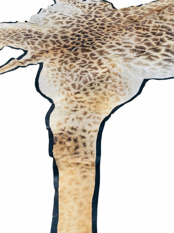 Like New! African Giraffe Hide Rug
