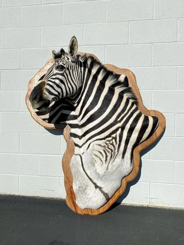 Wooden Burchell Zebra Mount - Paulski Art