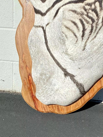 Wooden Burchell Zebra Mount - Paulski Art