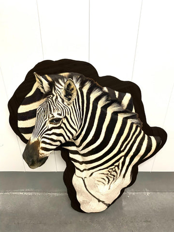Wooden Burchell Zebra Mount - Paulski Art