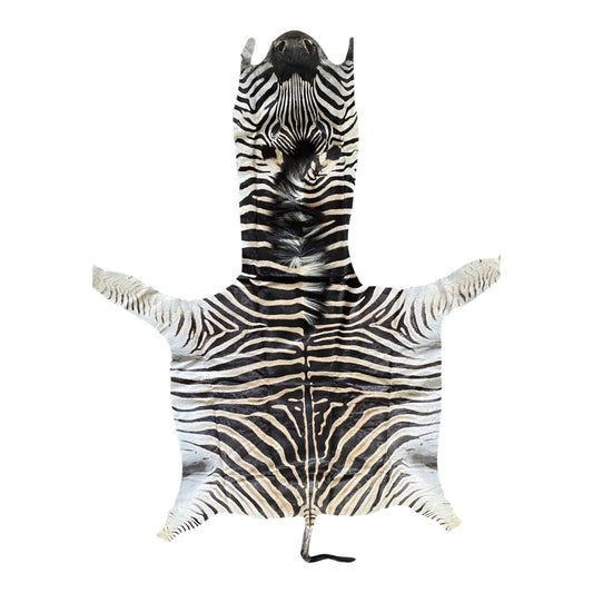 Non Felted A Grade Zebra Hide Rug #3