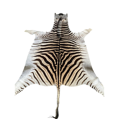 Non Felted A Grade Zebra Hide Rug #3
