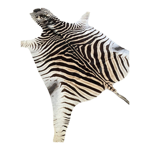 Non Felted A Grade Zebra Hide Rug #3